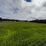 A Carballeira