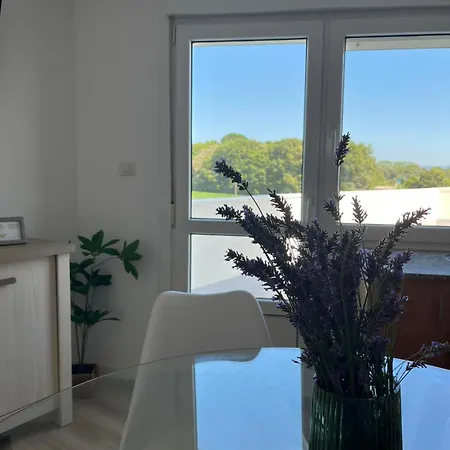 A Carballeira Apartment *
